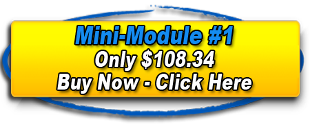Link to buy Mini Module 1