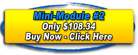 Link to Buy Mini-Module 2