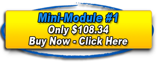 Link to buy Mini Module 1
