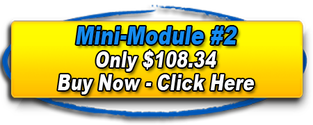 Link to Buy Mini-Module 2