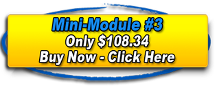 Link to buy Mini Module 3